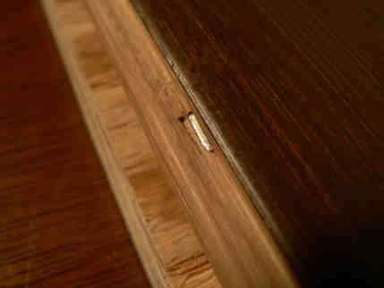 Can you secret nail through the groove?