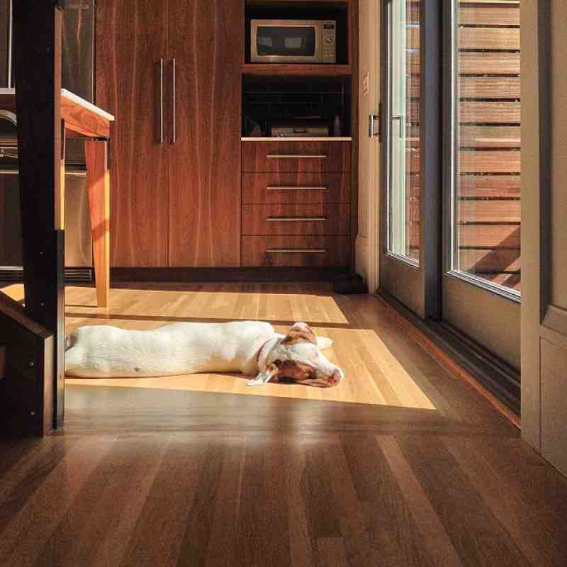 How do you install solid wood flooring on a concrete slab?