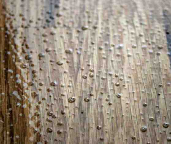 Which flooring is more scratch resistant?