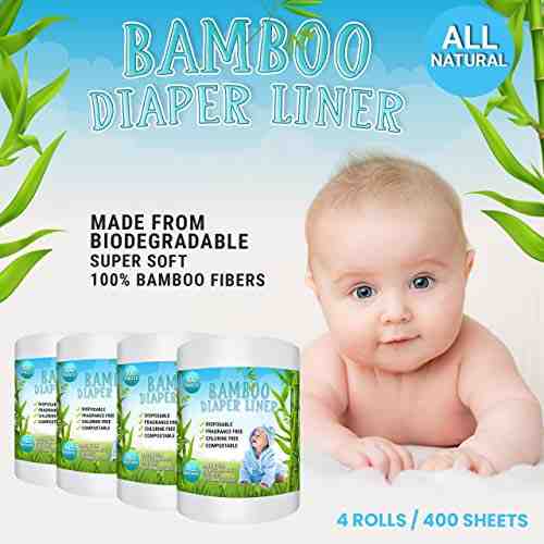 Are bamboo paper towels biodegradable?