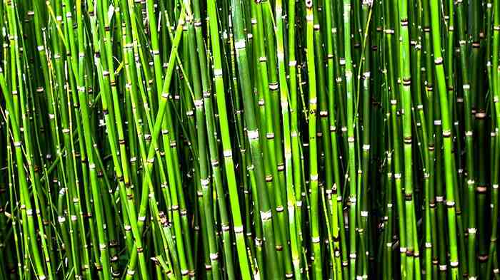 Are bamboo rayon sheets cool?