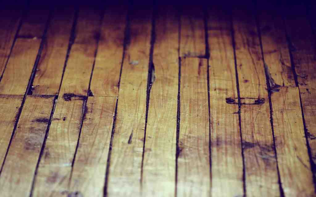 Do dogs damage bamboo floors?