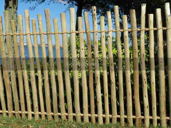 How do you keep cut bamboo green?