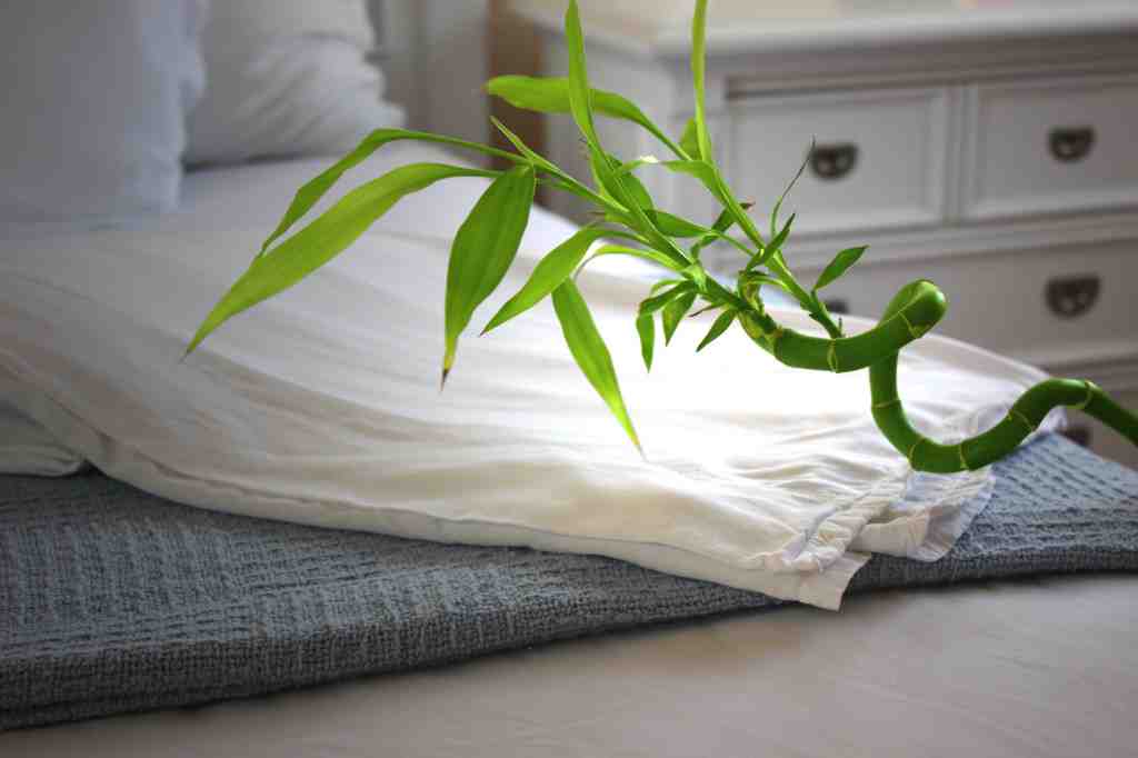 Is Egyptian cotton cooler than regular cotton?
