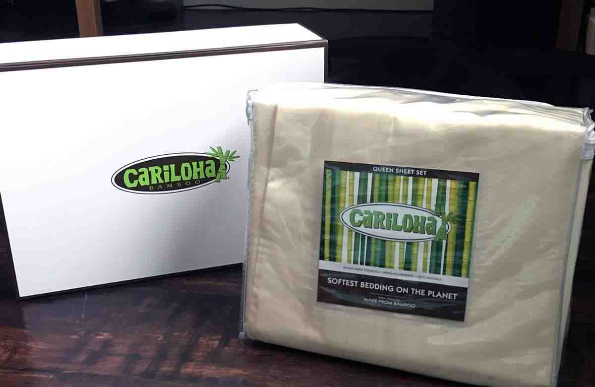 Is bamboo really antibacterial?