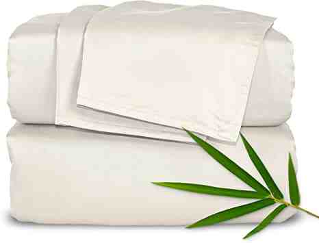 Does bacteria grow on bamboo?