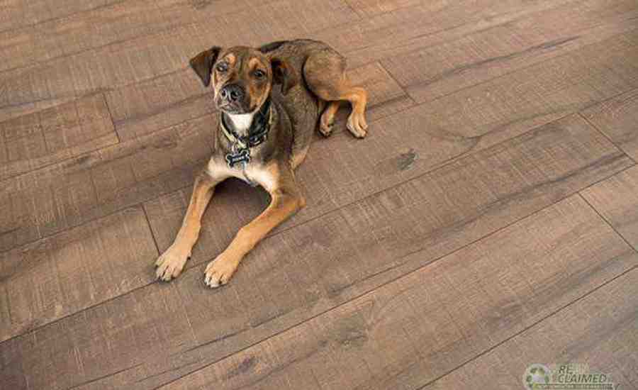 What are the disadvantages of bamboo flooring?