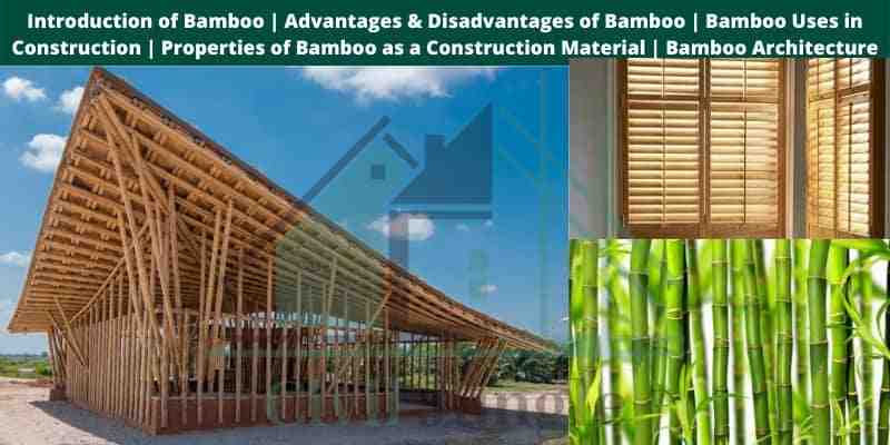 What is the difference between solid hardwood and bamboo flooring?