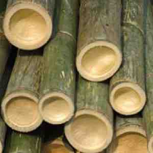 Are bamboo sheets worth the hype?