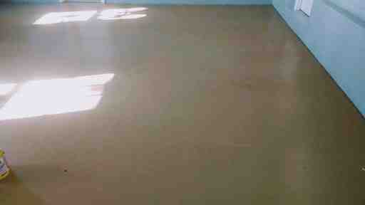 Can you paint over efflorescence with Drylok?