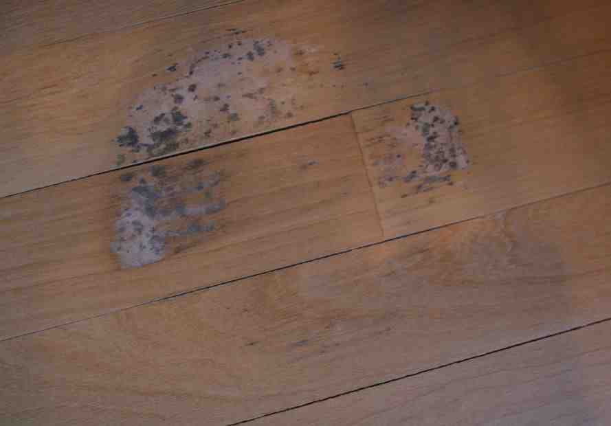 Do bamboo floors need to be sealed?