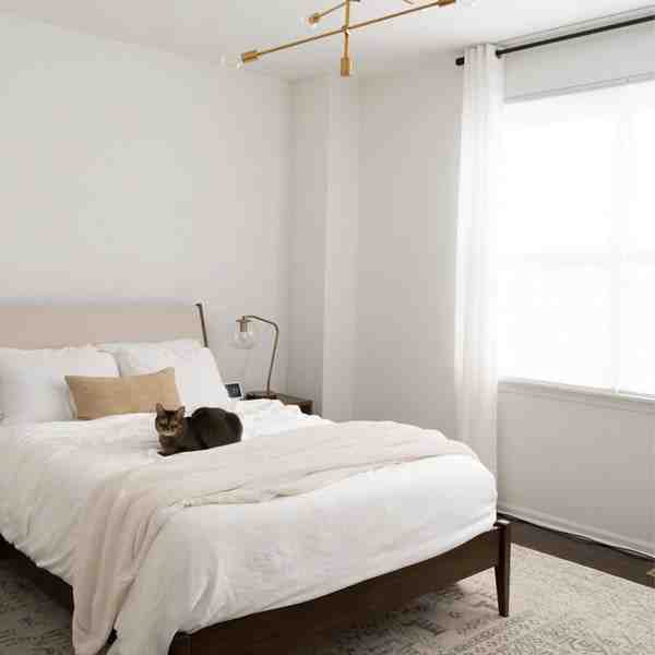 Is Tencel a eucalyptus or bamboo?