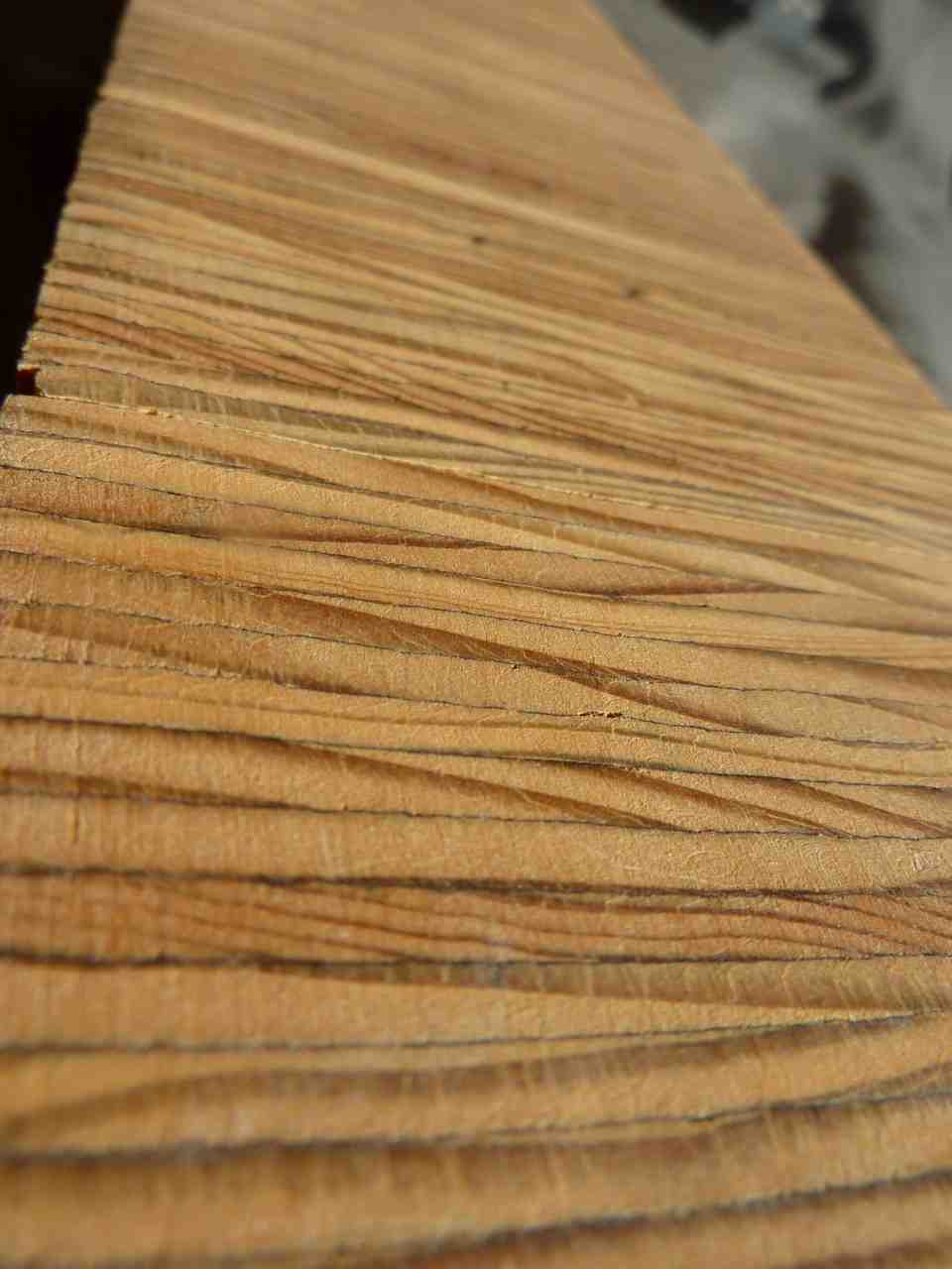 Is bamboo auspicious in house?
