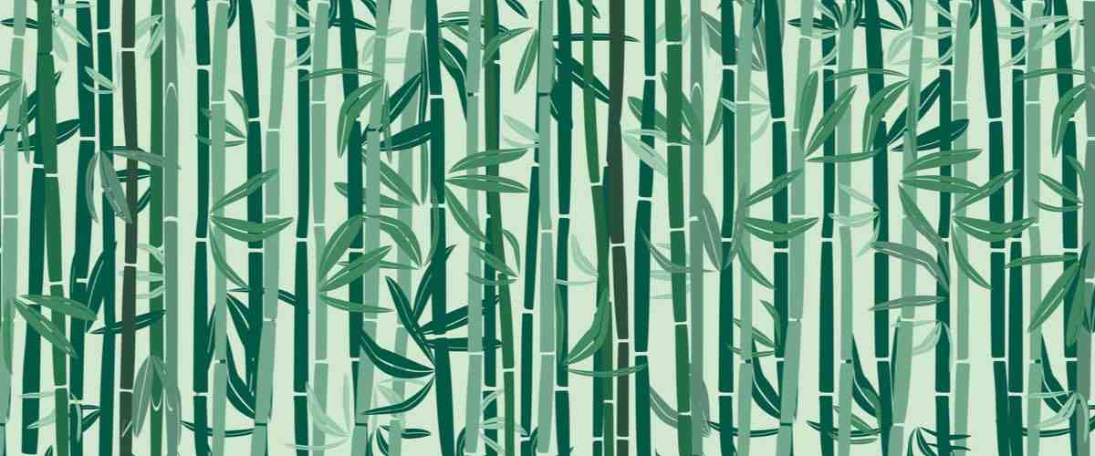 Is bamboo fiber better than cotton?