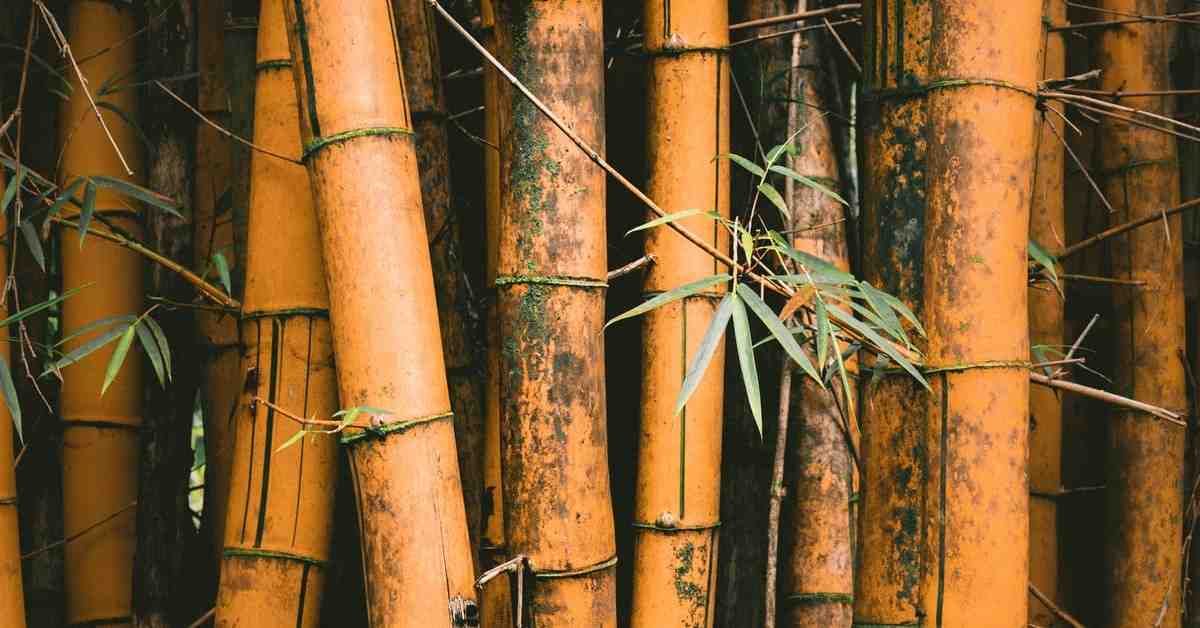 Is bamboo flooring high end?