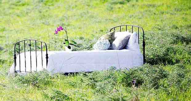 What fabric is naturally antimicrobial?
