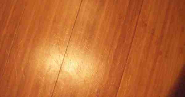 Are bamboo floors pet friendly?