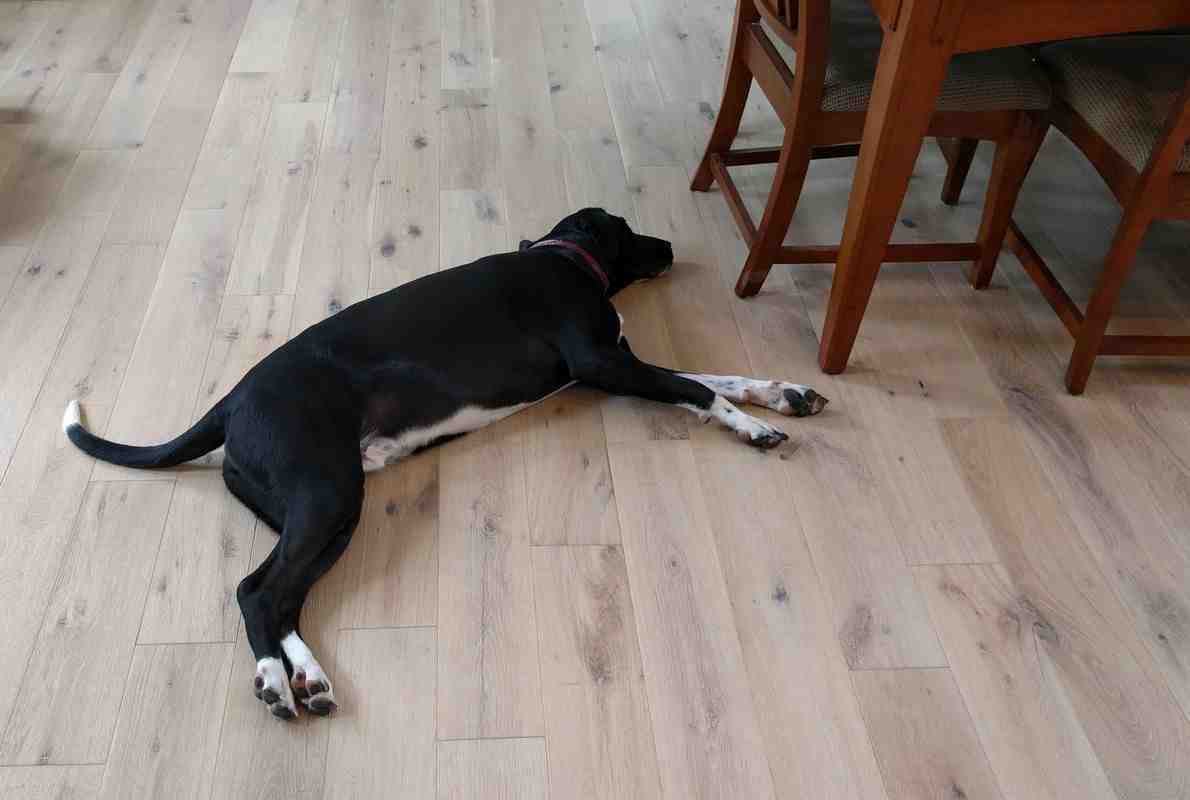 How do you get rid of white spots on hardwood floors?