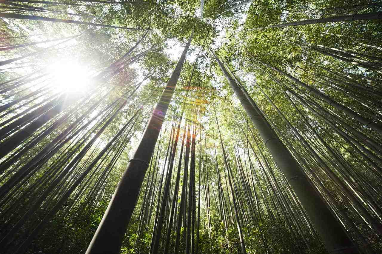 Is bamboo as good as silk?