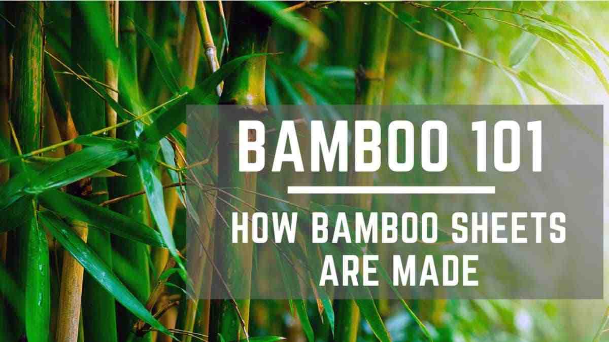 Is bamboo clothing toxic?
