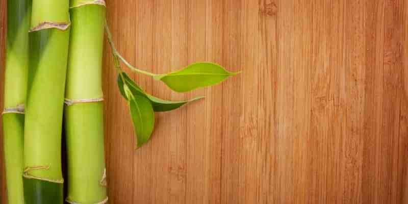 Is bamboo flooring high maintenance?