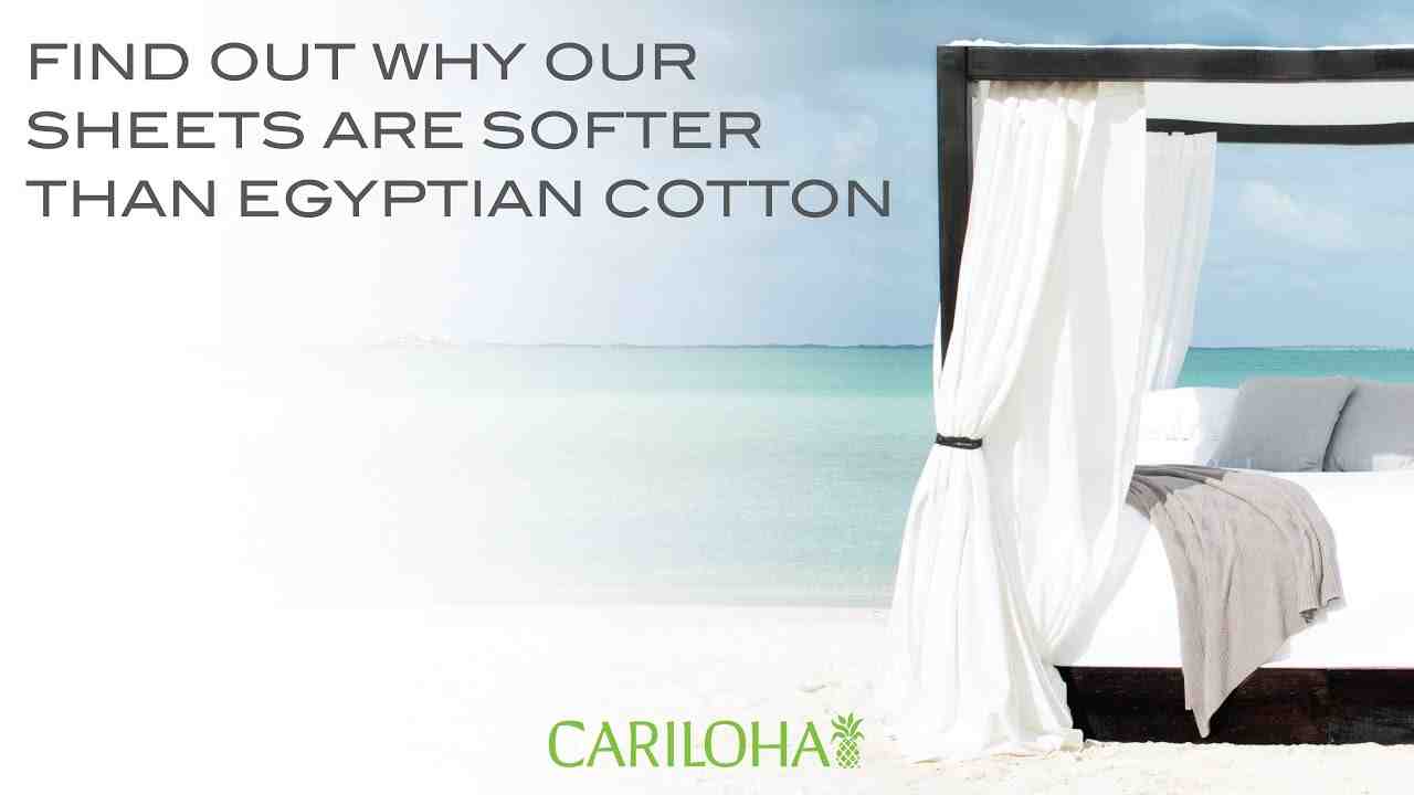 Which is the softest cotton fabric?