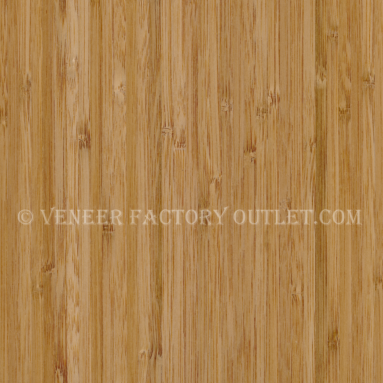 How do you repair water damaged veneer?