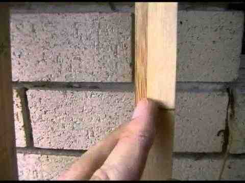Will bamboo warp?