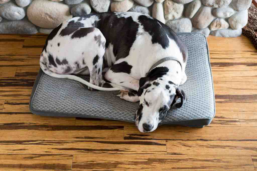 Does bamboo flooring add value to a house?