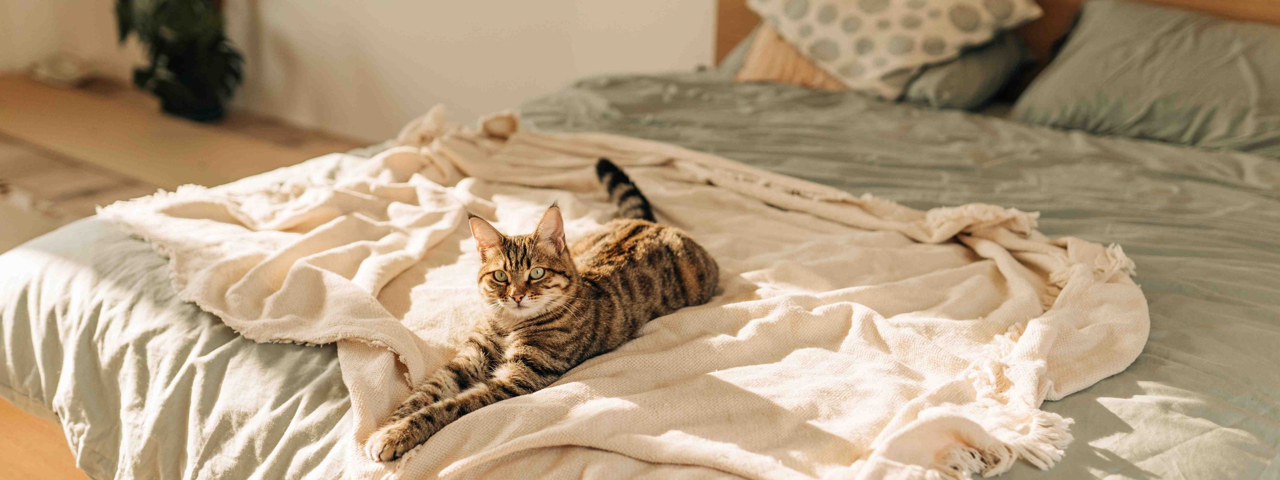 How can I increase the warmth of my sleeping bag?