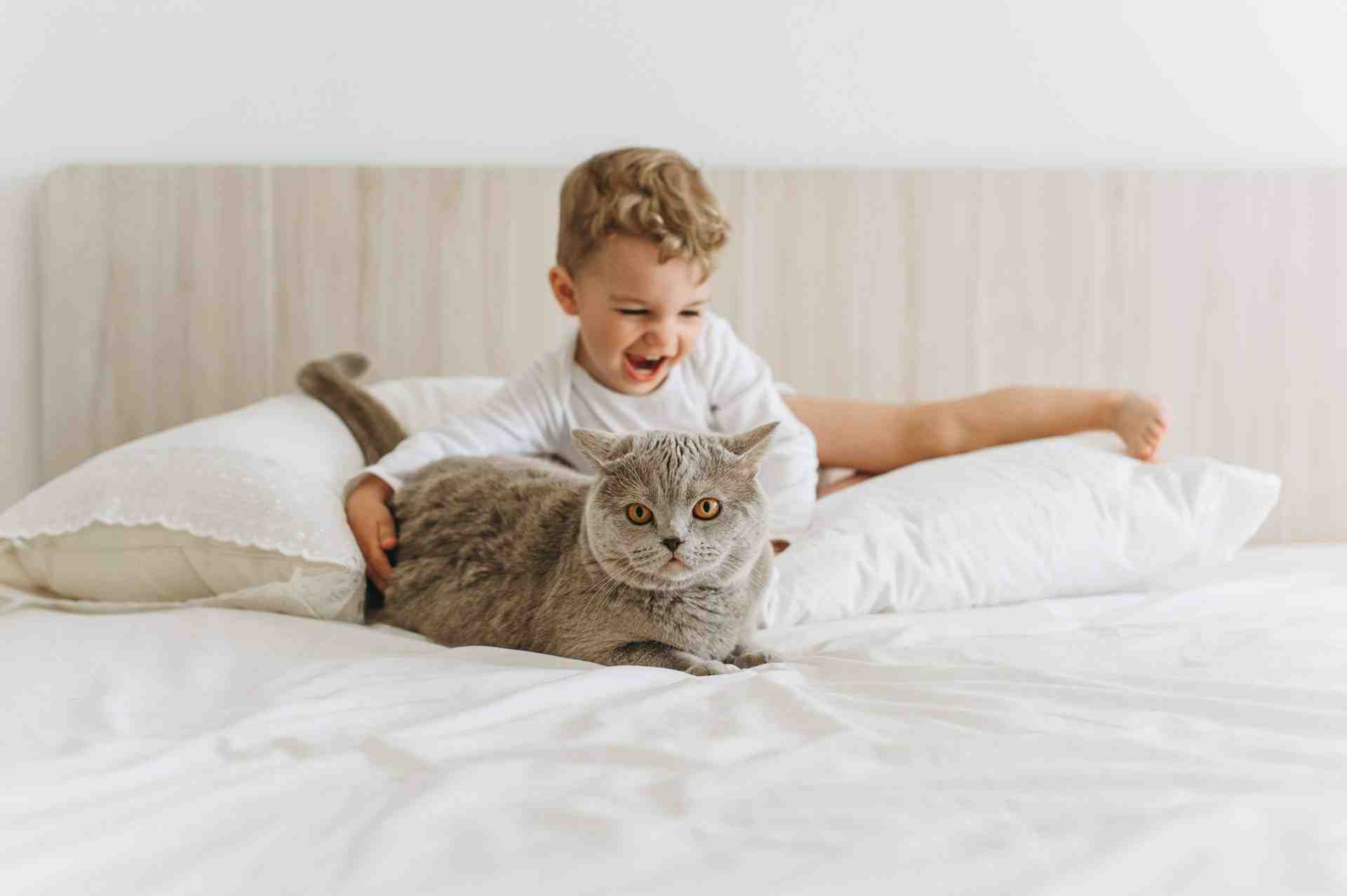How can you tell if bamboo sheets are fake?