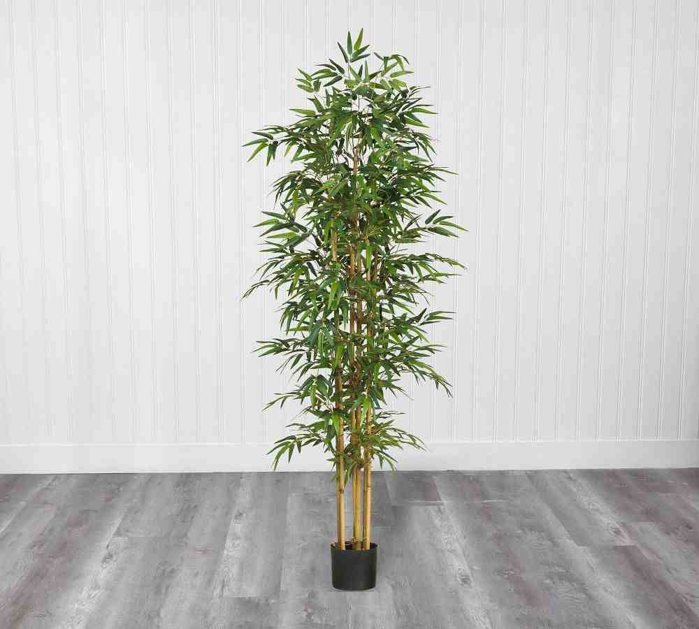 How do I prepare my potted bamboo for winter?