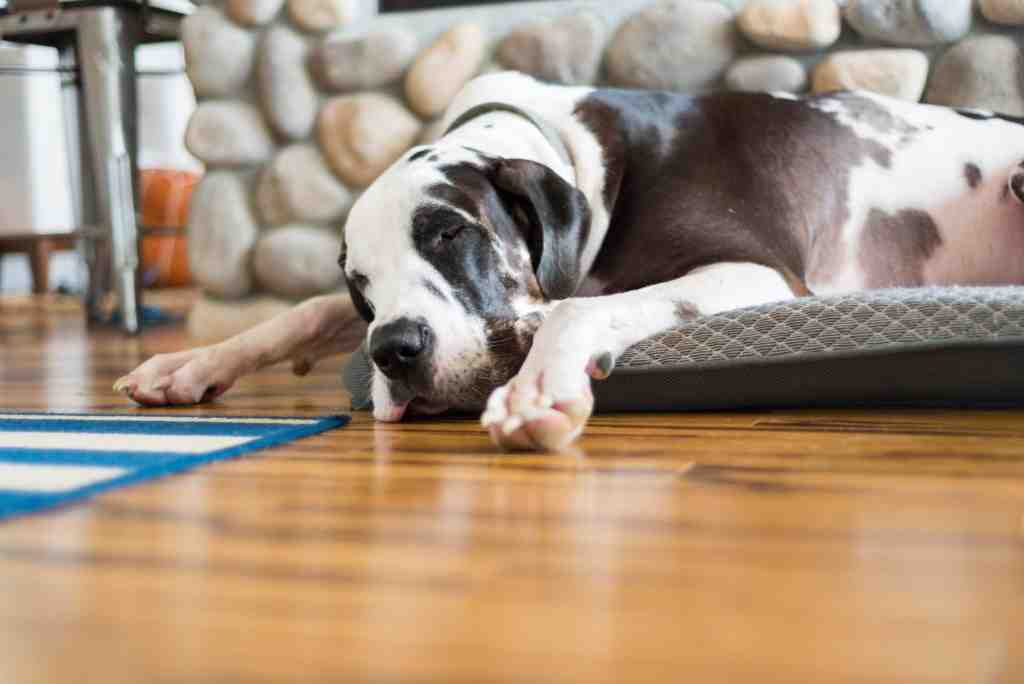 How long does bamboo floor last?
