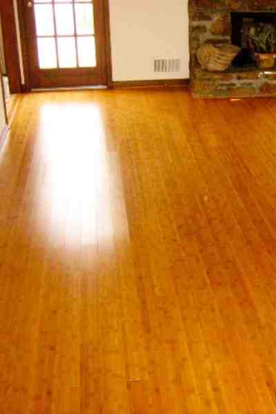 Is Steam Mop safe for bamboo floors?