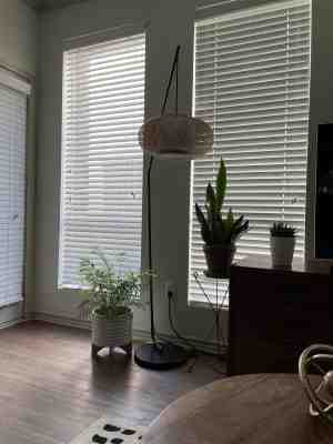 Is bamboo a cheap wood?
