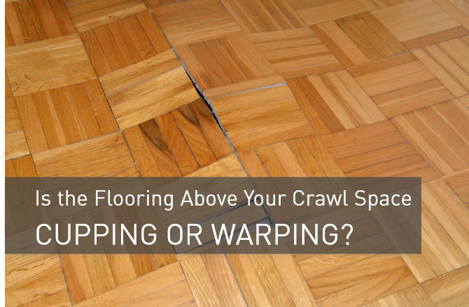 How do you clean bamboo floors?